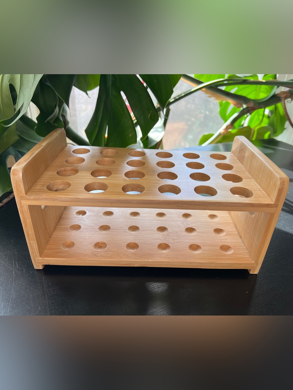 Bamboo vial test tube holder propagation  station